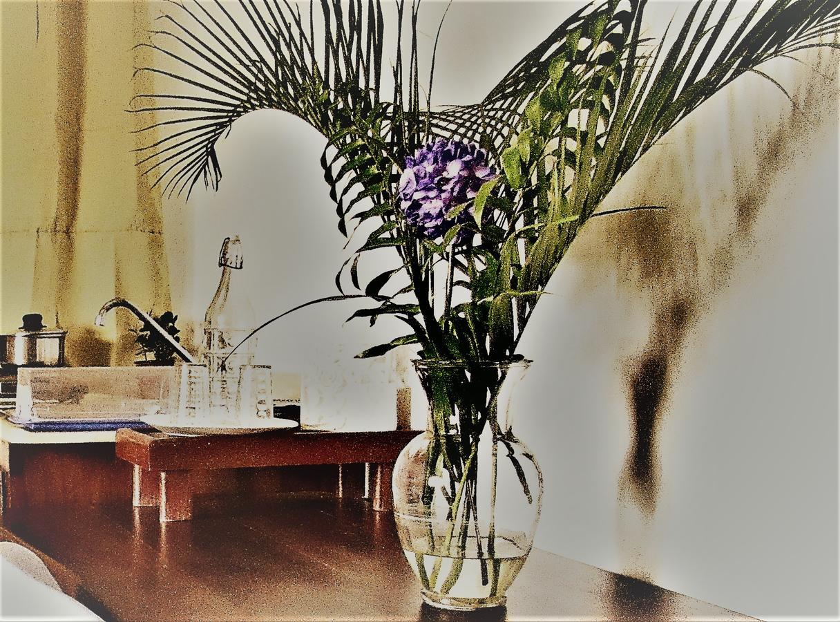 Hotel Boutique Simona La Romana Luaran gambar