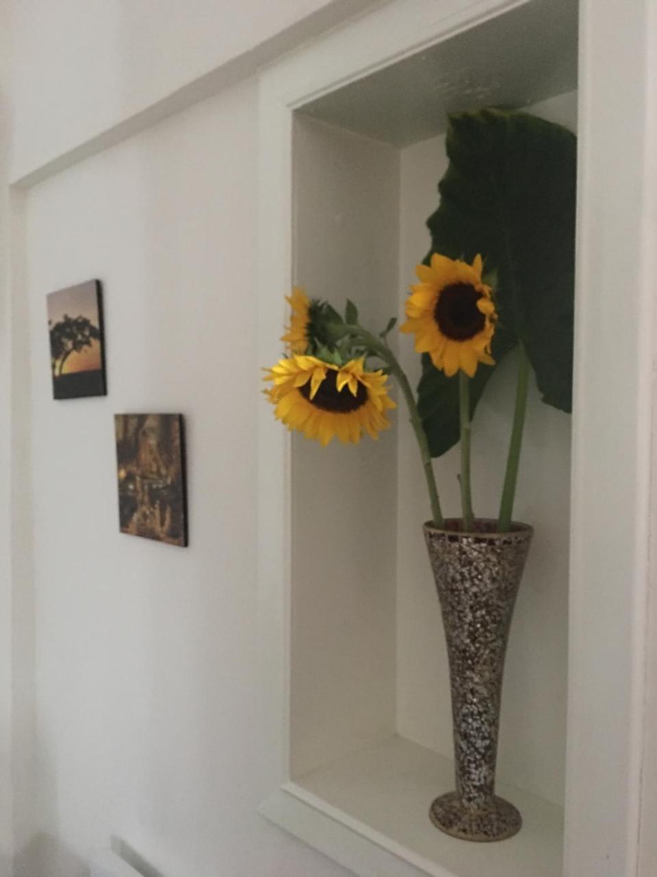 Hotel Boutique Simona La Romana Luaran gambar